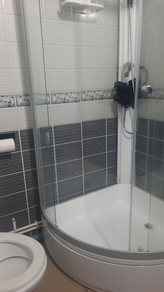 Уютная студия в берёзовой роще